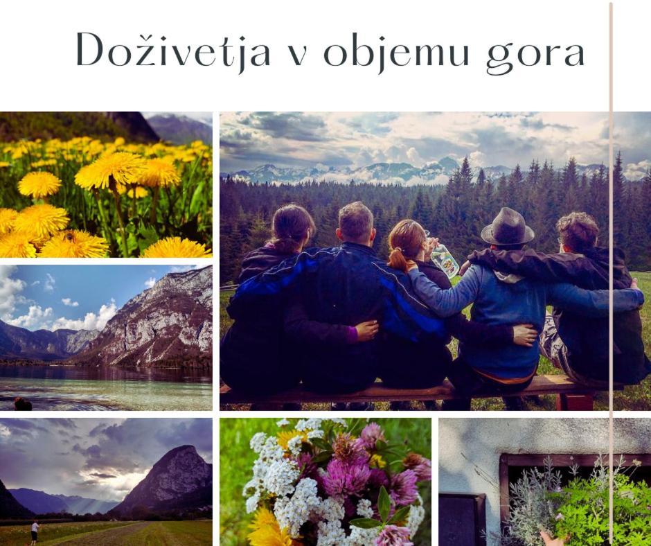 V Objemu Gora Daire Bohinj Dış mekan fotoğraf