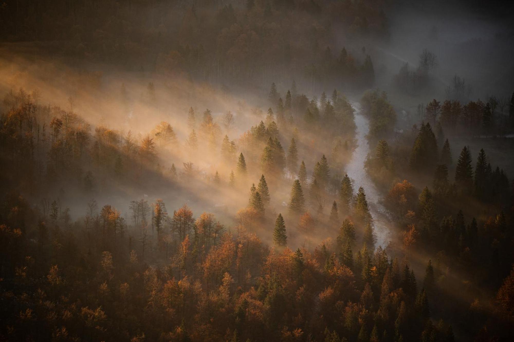 V Objemu Gora Daire Bohinj Dış mekan fotoğraf